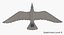 Seagull (Animated)