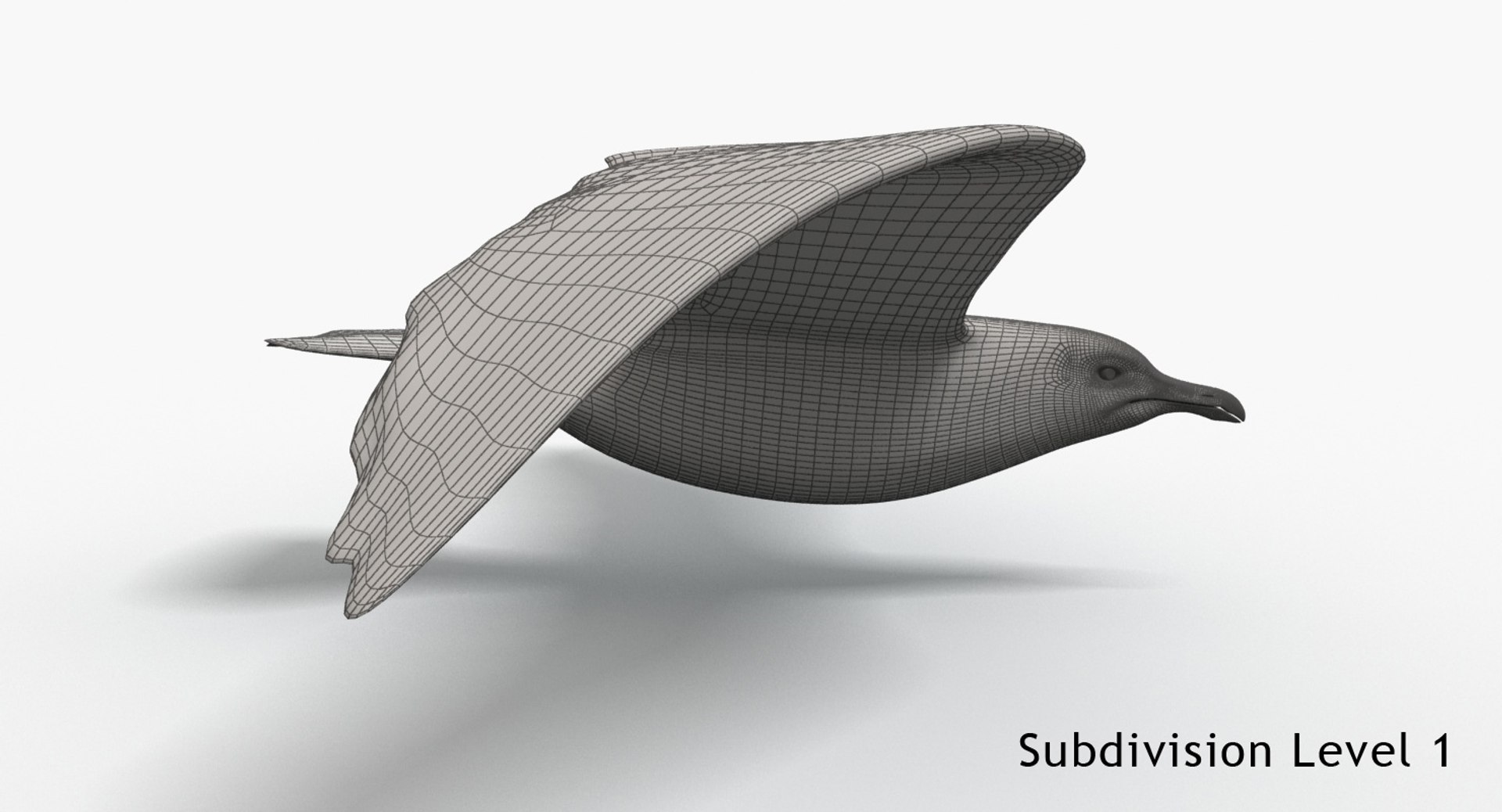 3d seagull flying animation model https://p.turbosquid.com/ts-thumb/vq/K2YBXl/sBBQnDXk/w1/jpg/1478087830/1920x1080/fit_q87/7fdd33aa5fc7dc71799440568b9d772deec76748/w1.jpg