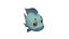 Blue Tilapia animated fish low poly toon