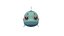 Blue Tilapia animated fish low poly toon