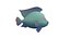 Blue Tilapia animated fish low poly toon