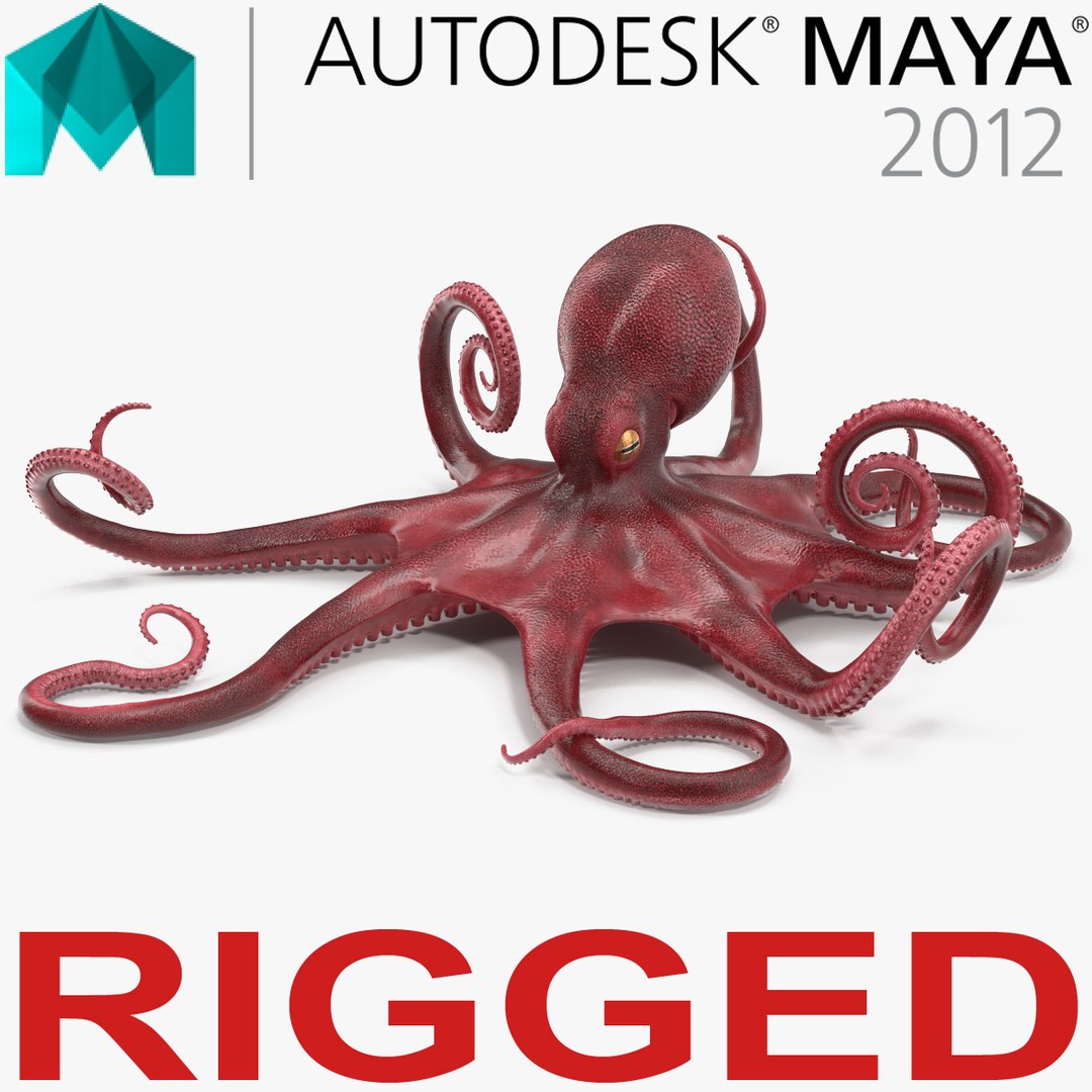 Octopus Vulgaris Rigged for Maya 3D model preview
