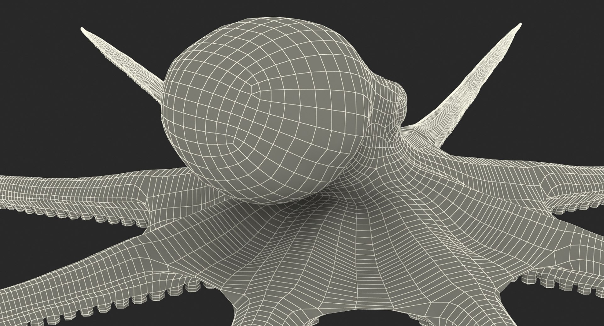 octopus vulgaris rigged 3D model https://p.turbosquid.com/ts-thumb/vq/O1nM8v/GKMt6EpX/octopusvulgarisriggedmayamb3dmodel36/jpg/1495722411/1920x1080/fit_q87/7e4e0d8fe72d58ce8dcb9f9e1f1489fa663122be/octopusvulgarisriggedmayamb3dmodel36.jpg