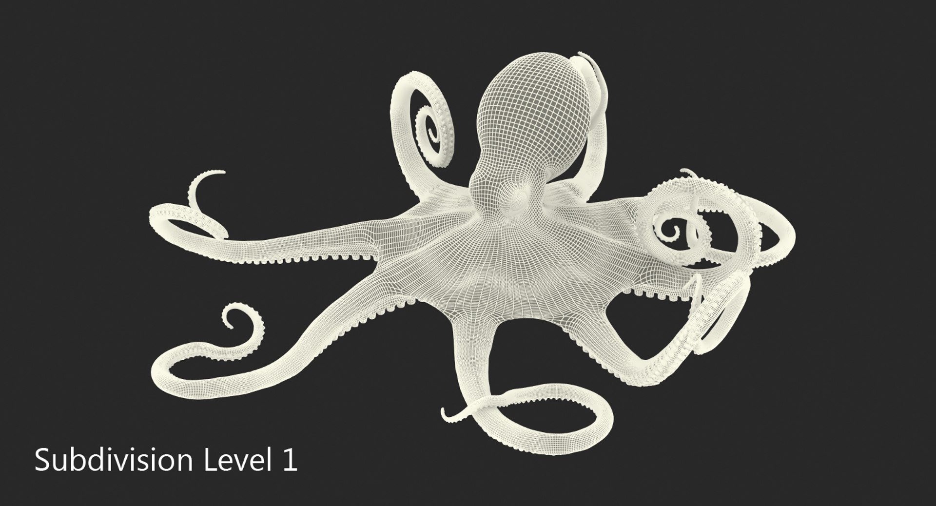octopus vulgaris rigged 3D model https://p.turbosquid.com/ts-thumb/vq/O1nM8v/JSadhq6b/octopusvulgarisriggedmayamb3dmodel25/jpg/1495722411/1920x1080/fit_q87/5b3bcda8cc27d810b832e2917e82e3ccc01503b4/octopusvulgarisriggedmayamb3dmodel25.jpg