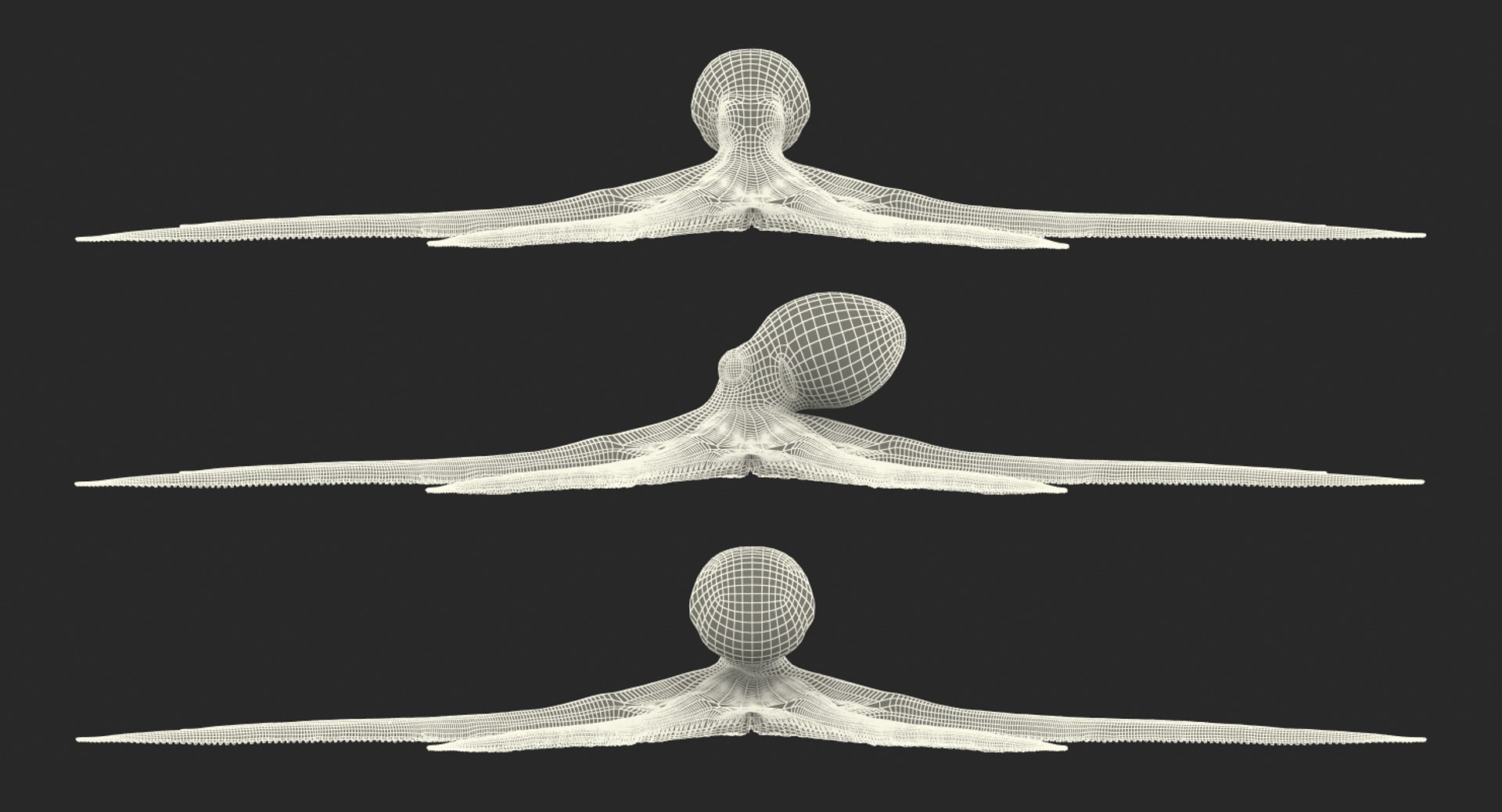 octopus vulgaris rigged 3D model https://p.turbosquid.com/ts-thumb/vq/O1nM8v/TWQuBKST/octopusvulgarisriggedmayamb3dmodel29/jpg/1495722411/1920x1080/fit_q87/0c07dccc3c50dd183c518285b11ac0eca72efa1c/octopusvulgarisriggedmayamb3dmodel29.jpg