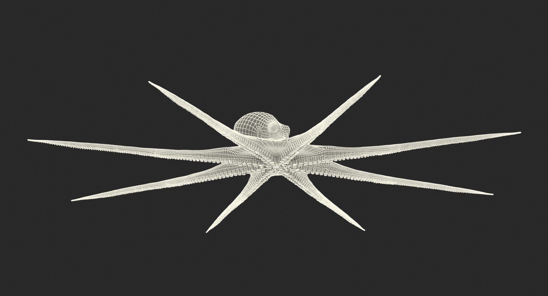 octopus vulgaris rigged 3D model https://p.turbosquid.com/ts-thumb/vq/O1nM8v/VOE1eHsr/octopusvulgarisriggedmayamb3dmodel33/jpg/1495722411/1920x1080/fit_q87/de973803f561dbfa982fc09b4cecdfef2b829f09/octopusvulgarisriggedmayamb3dmodel33.jpg