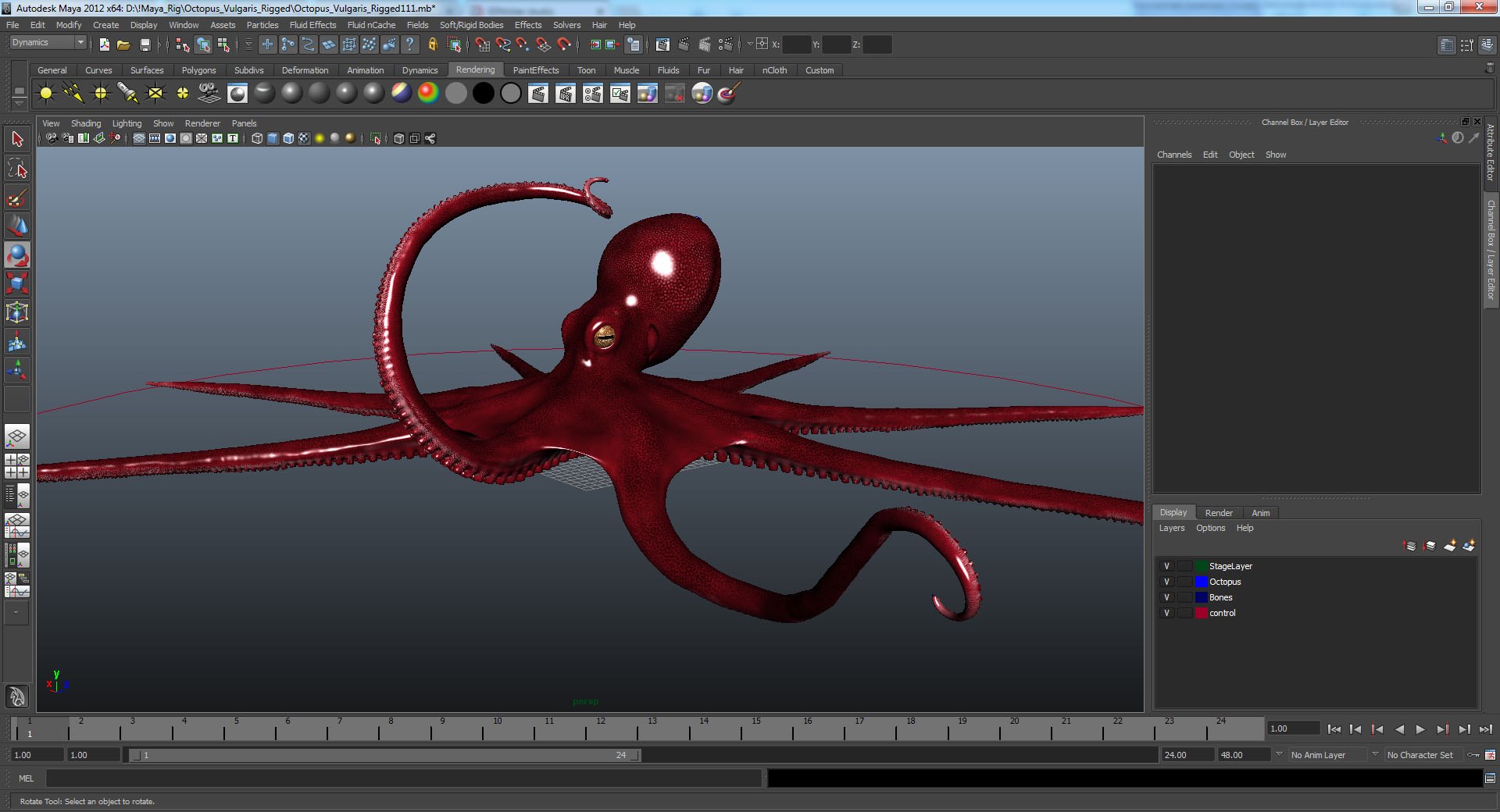 octopus vulgaris rigged 3D model https://p.turbosquid.com/ts-thumb/vq/O1nM8v/ZUd3Z1Nr/octopusvulgarisriggedmayamb3dmodel24/jpg/1495722411/1920x1080/fit_q87/ed3a04166ee99fbad5f860a2cb77a852bc5b9e5c/octopusvulgarisriggedmayamb3dmodel24.jpg