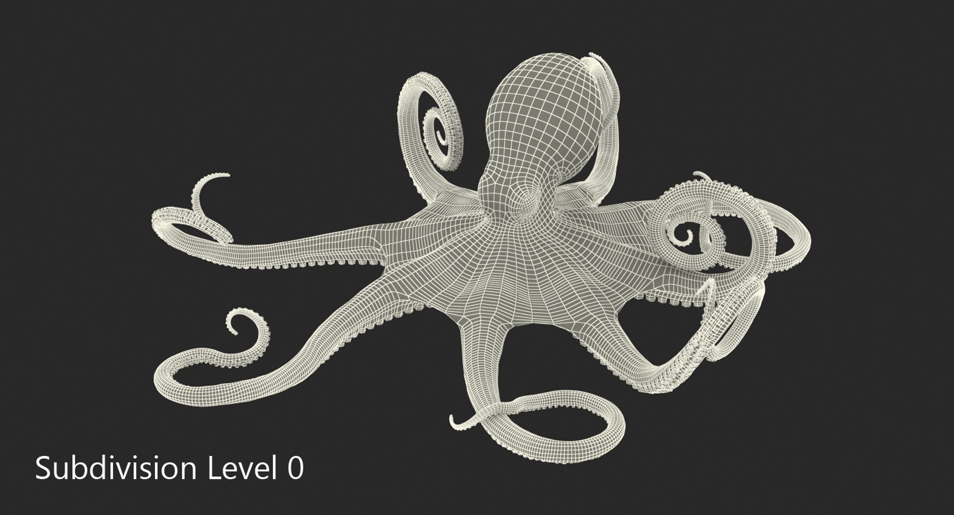 octopus vulgaris rigged 3D model https://p.turbosquid.com/ts-thumb/vq/O1nM8v/iIesOhwK/octopusvulgarisriggedmayamb3dmodel26/jpg/1495722411/1920x1080/fit_q87/1c2082376a7833509c7772779e73da997501cf3a/octopusvulgarisriggedmayamb3dmodel26.jpg