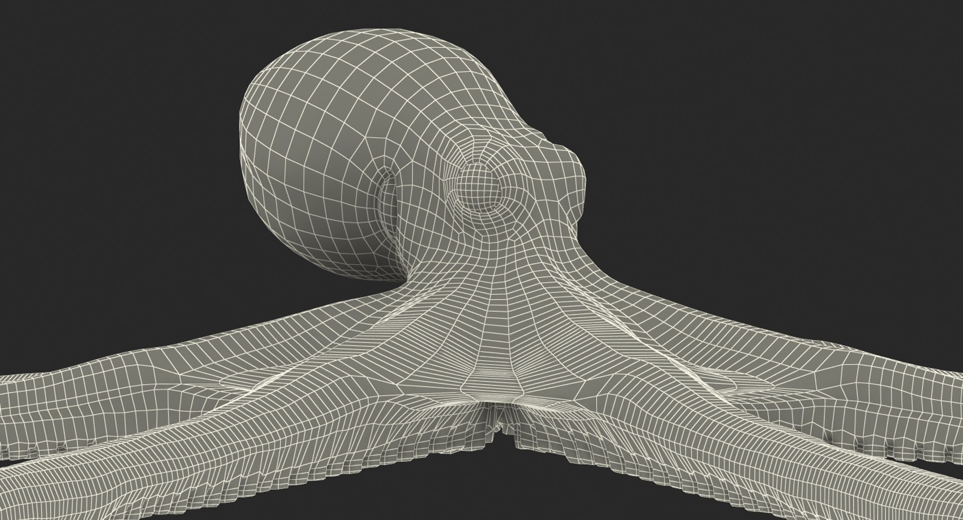 octopus vulgaris rigged 3D model https://p.turbosquid.com/ts-thumb/vq/O1nM8v/xUD1yguA/octopusvulgarisriggedmayamb3dmodel35/jpg/1495722411/1920x1080/fit_q87/7d155cc147a8c216f8f66581cb7c1b5cc0df272d/octopusvulgarisriggedmayamb3dmodel35.jpg