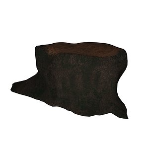 3D trunk