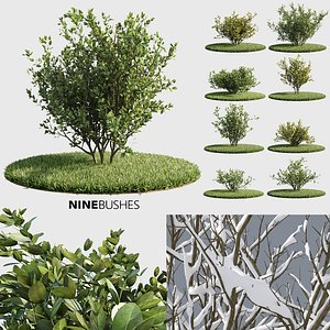 Nine Bushes (+GrowFX)