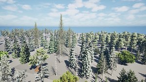 Conifer Forest Tree AssetsLowPoly