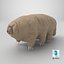 Tardigrado