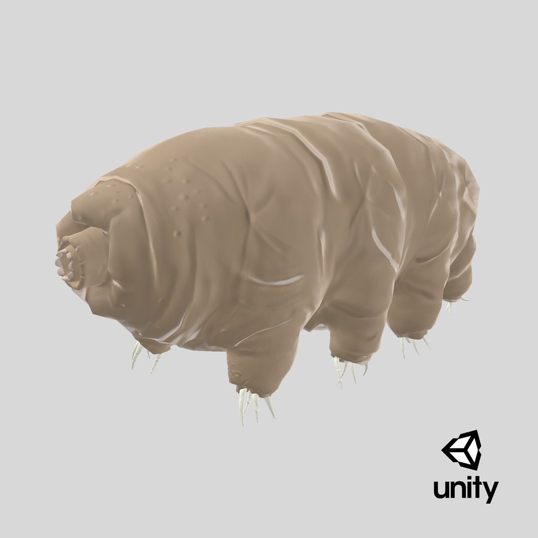 Tardigrade 3D model https://p.turbosquid.com/ts-thumb/vr/6NABk9/vS/stemcell_unity_render/png/1723127672/1920x1080/fit_q87/201c3055902b7b9d05164c11f692c0758eb76c2b/stemcell_unity_render.jpg