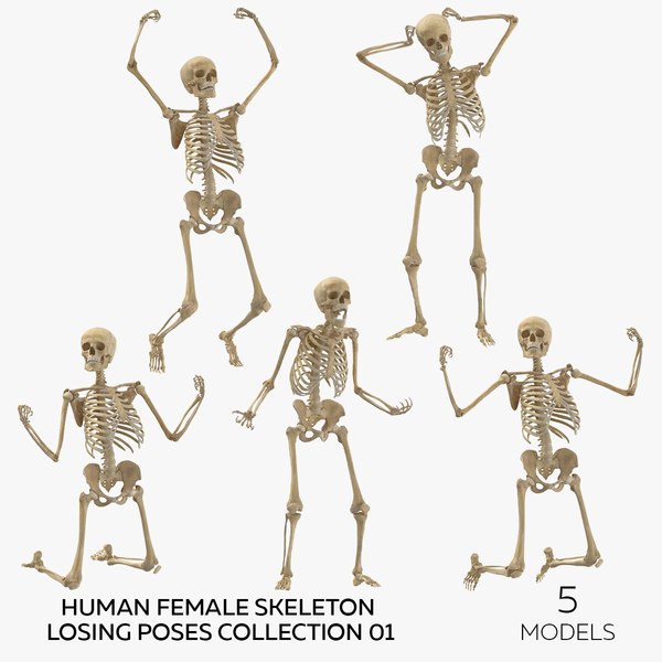 Human Female Skeleton Losing Poses Collection 01 - 5 models 3D model