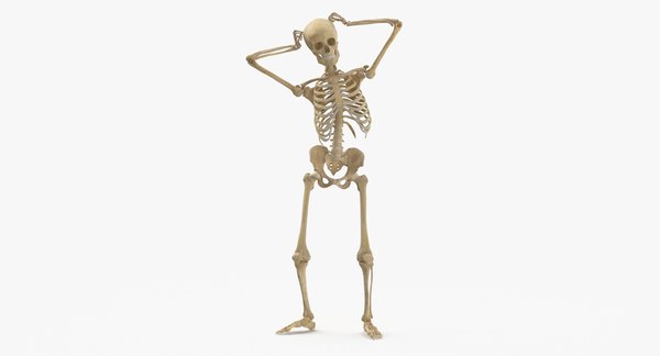 Human Female Skeleton Losing Poses Collection 01 - 5 models 3D 모델 ...