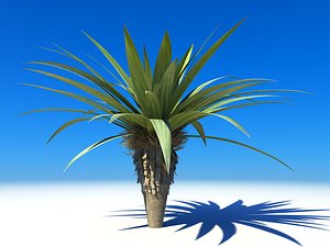 palm small 3d model
