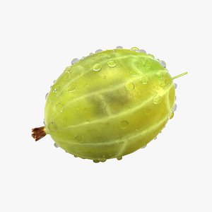 Gooseberry