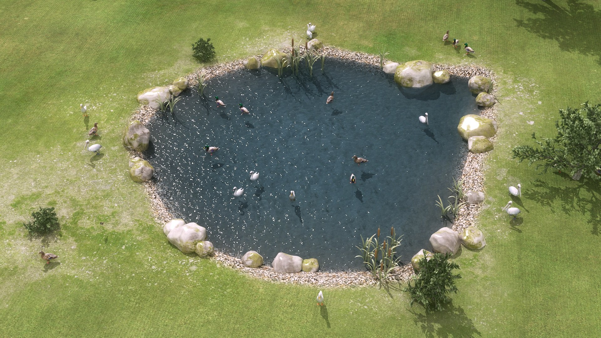 3D Duck Pond Model - TurboSquid 2487885