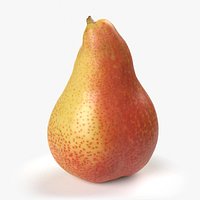 Pear Forelle PBR Scan Retopo