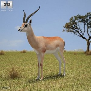 gazelle grant s 3d max