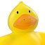 Duck Bath Toy