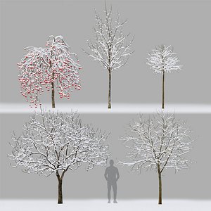 3D Trees  Winter 01