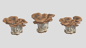Maitake Mushroom Low Poly 3D model