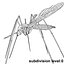3ds max mosquito