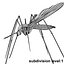 3ds max mosquito