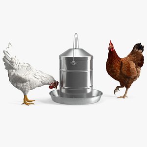 3D Poultry Feeder with Chickens Rigged for Cinema 4D
