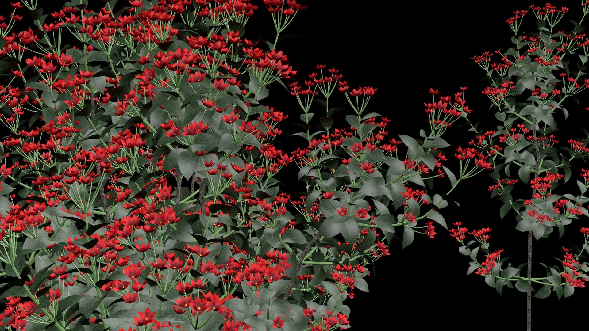 Brunfelsia Flower 3D model https://p.turbosquid.com/ts-thumb/vs/EPYHIG/ds/a2/jpg/1651957288/1920x1080/fit_q87/d0b2fac2b94e3147907ef6809a2eeacae36f5a5d/a2.jpg