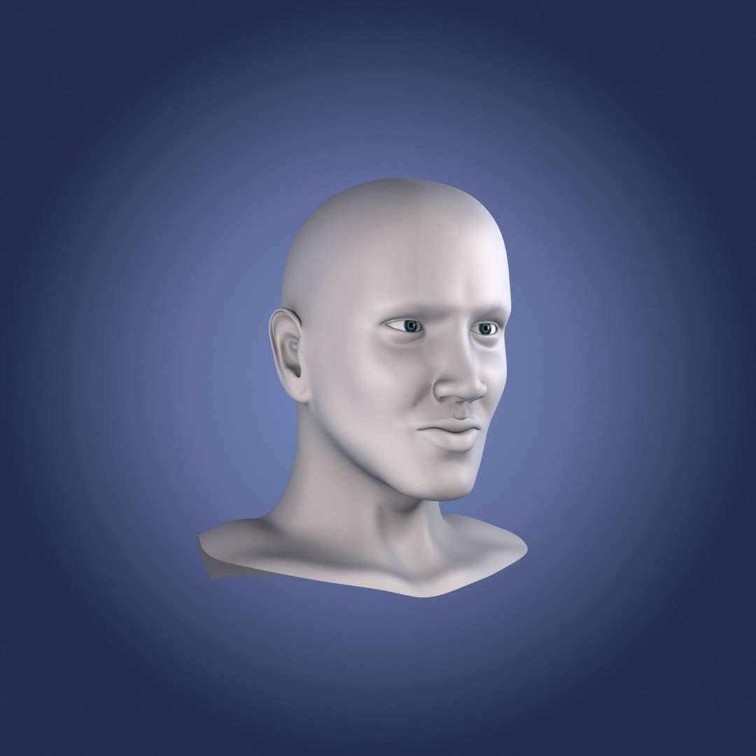 3d Male Head Model