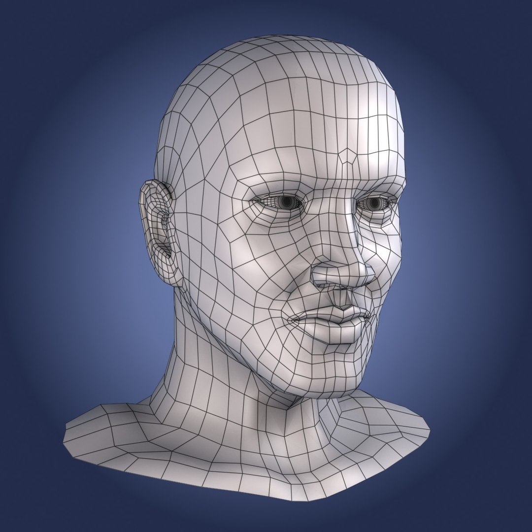 3d Male Head Model