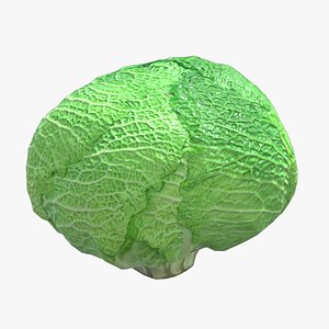 3D Cabbage Low Poly model