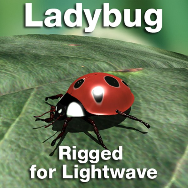 ladybug lady lightwave lwo