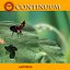 Coccinella - Attrezzata per Lightwave
