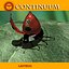 Coccinella - Attrezzata per Lightwave