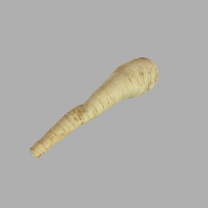 3ds photoreal parsley