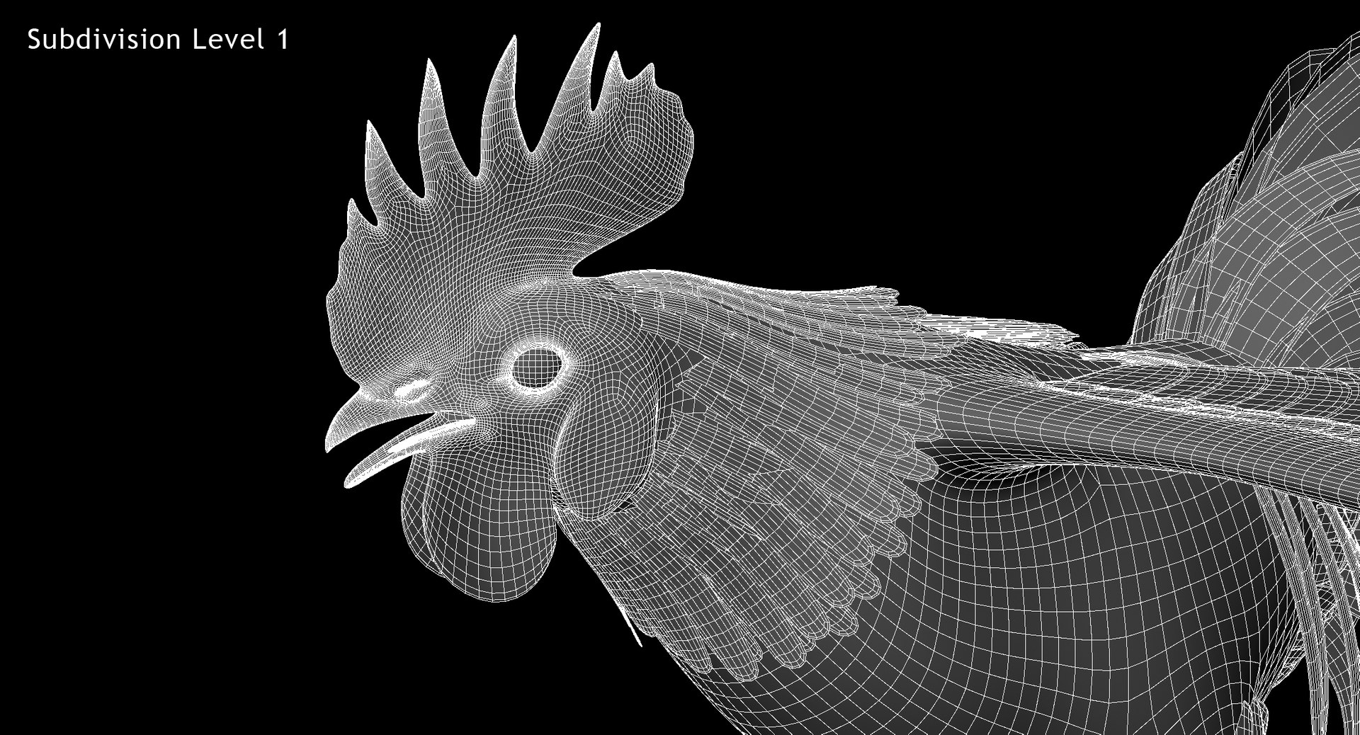 gallus domesticus black domestic 3d model https://p.turbosquid.com/ts-thumb/vs/liLecb/ROSS6V6v/w6/jpg/1447260673/1920x1080/fit_q87/8bfb393df766190b7aa263fb374c26da8bf0d80d/w6.jpg