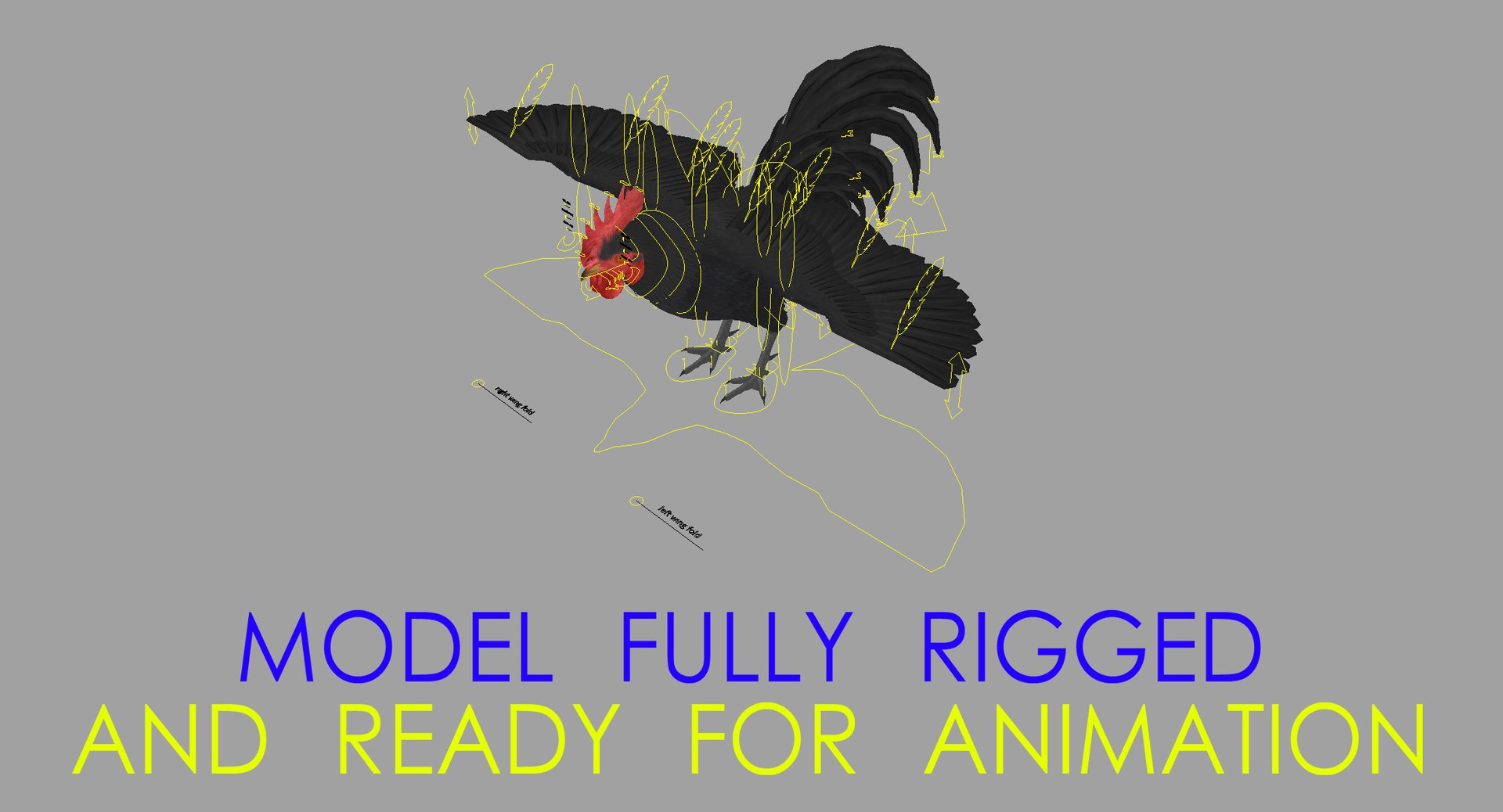 gallus domesticus black domestic 3d model https://p.turbosquid.com/ts-thumb/vs/liLecb/wstPQ5Kd/rigged_wide/jpg/1447259300/1920x1080/fit_q87/b3644432c2f8d5d6be776b0351c35d1dbaf4971e/rigged_wide.jpg