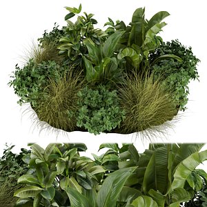 Collection plant vol 294 indoor garden leaf cinema 4d - 3DMAX