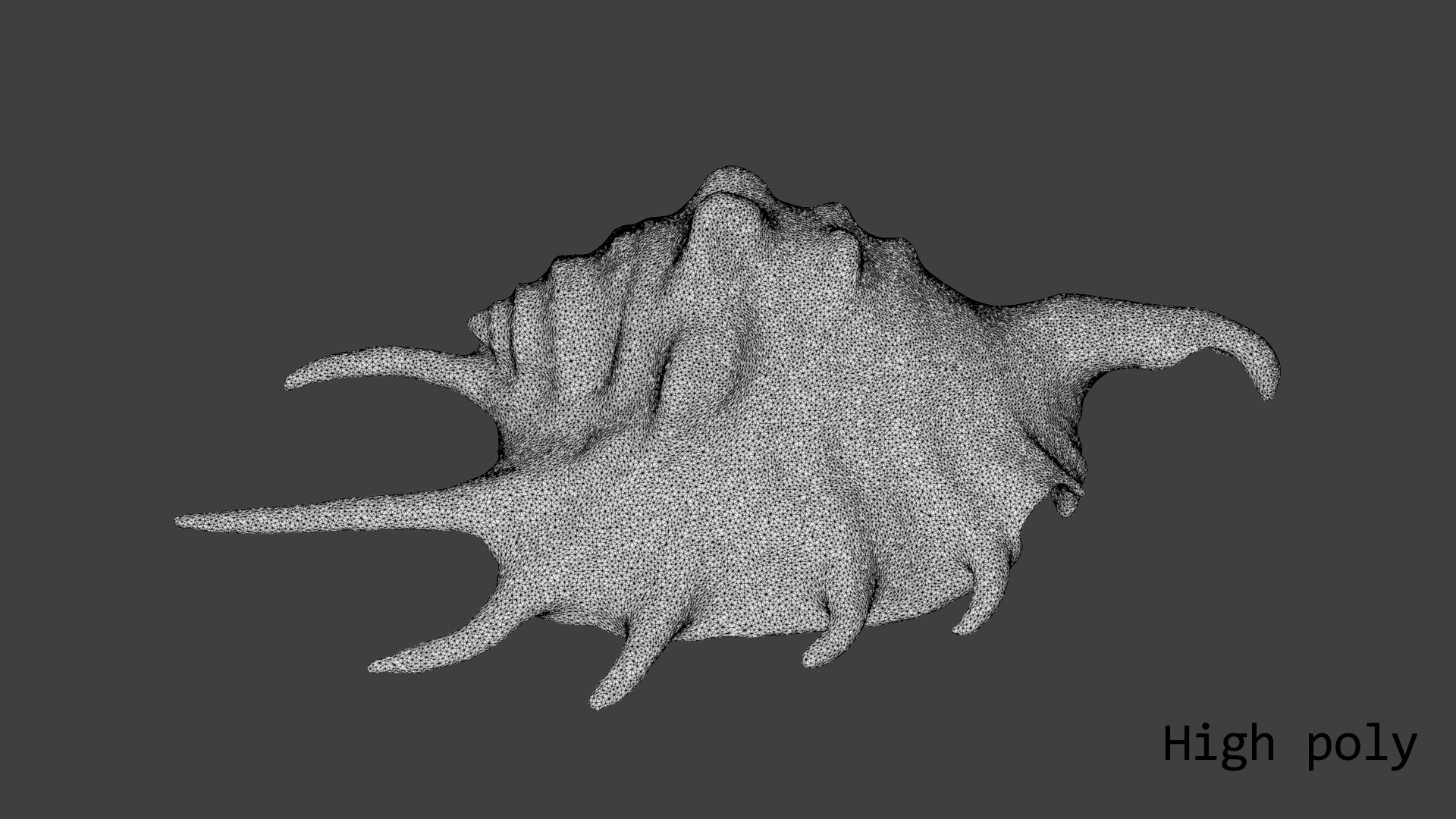 Scanned Sea Shell 3D - TurboSquid 1418988