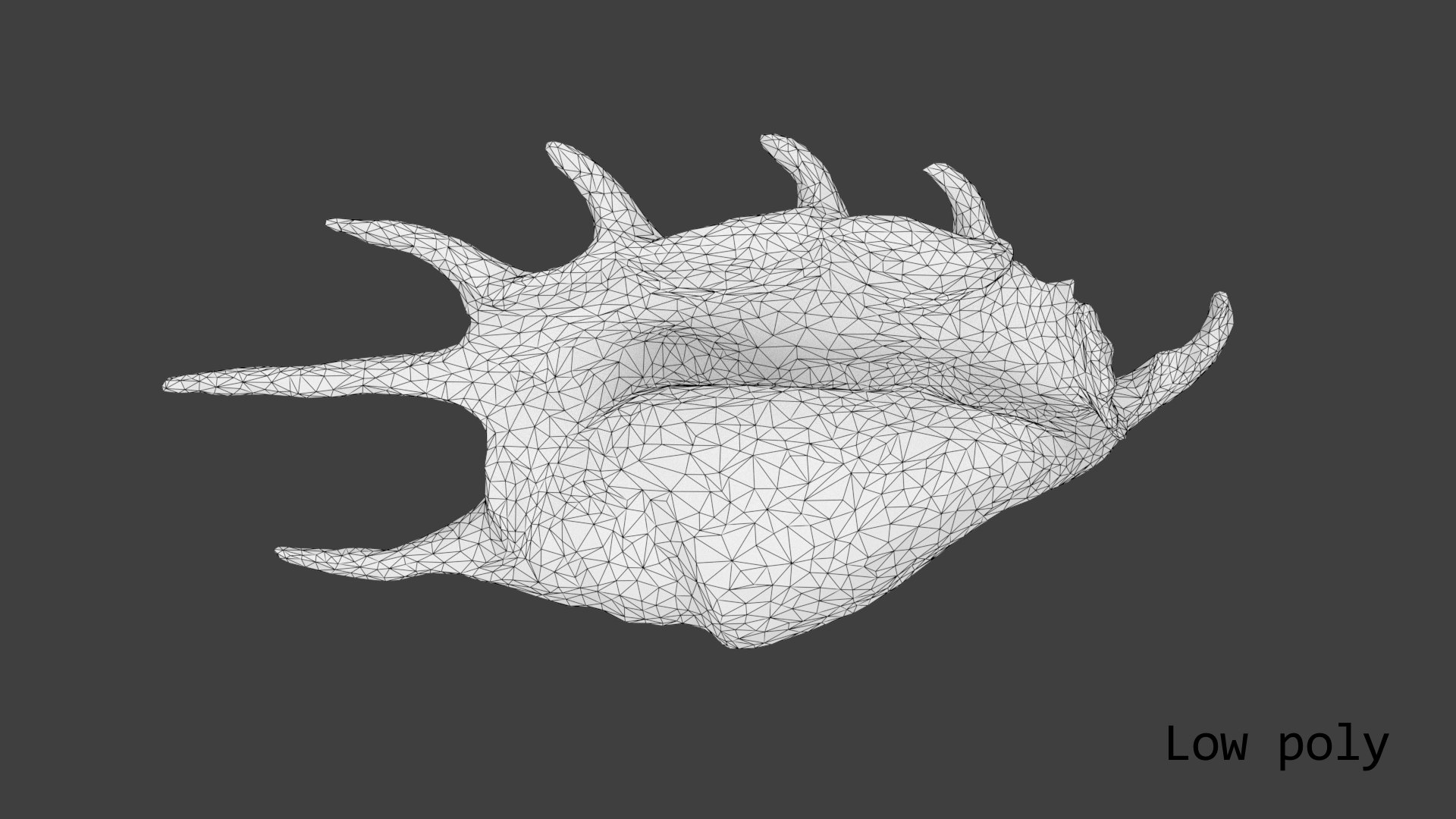 Scanned Sea Shell 3D - TurboSquid 1418988