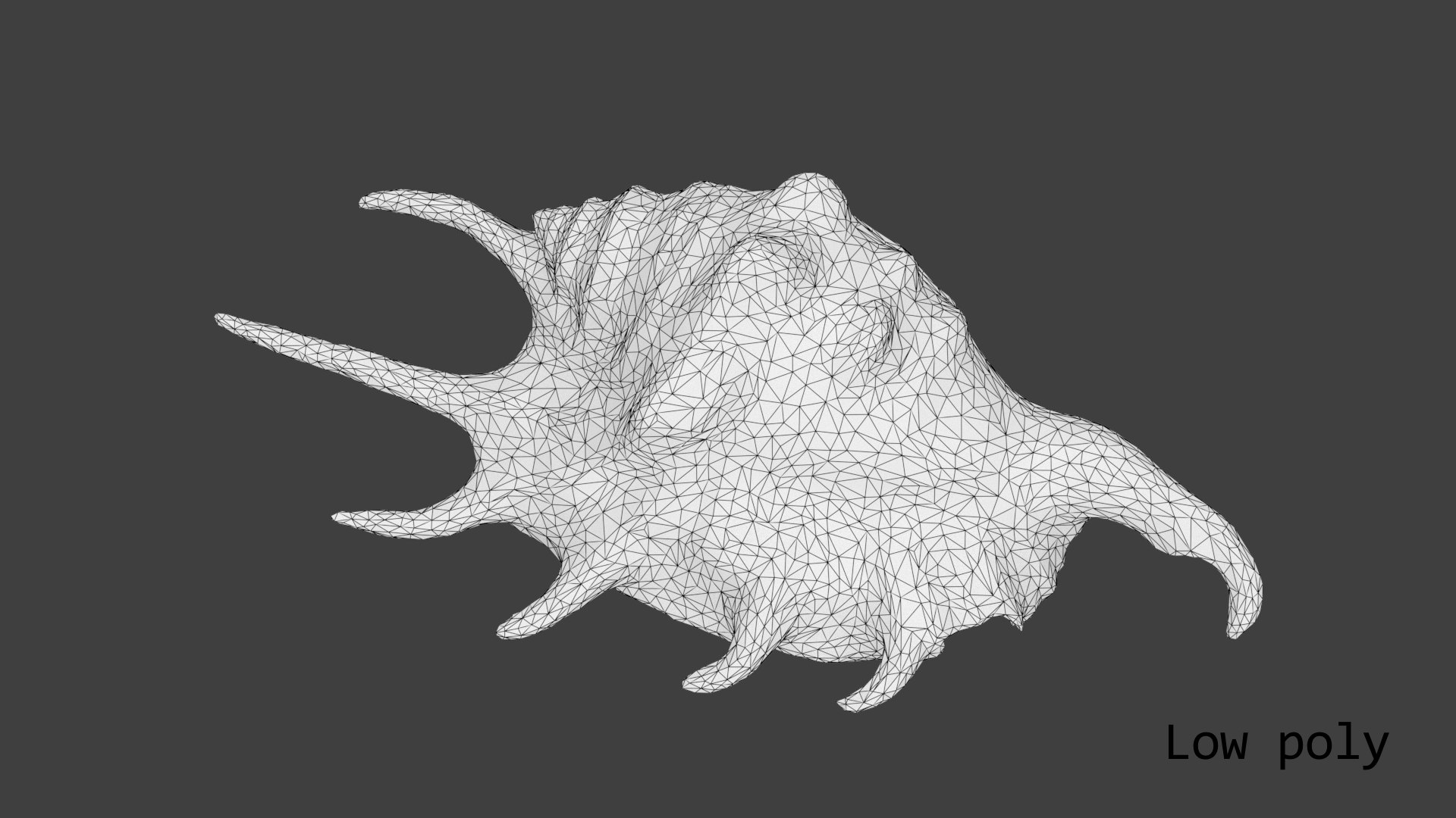 Scanned Sea Shell 3D - TurboSquid 1418988