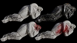 Covered Corpse 13 Low-Poly