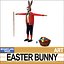 Osterhase
