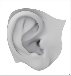 Human Ear. Print Ready.