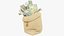 Collection de sacs d'argent V23