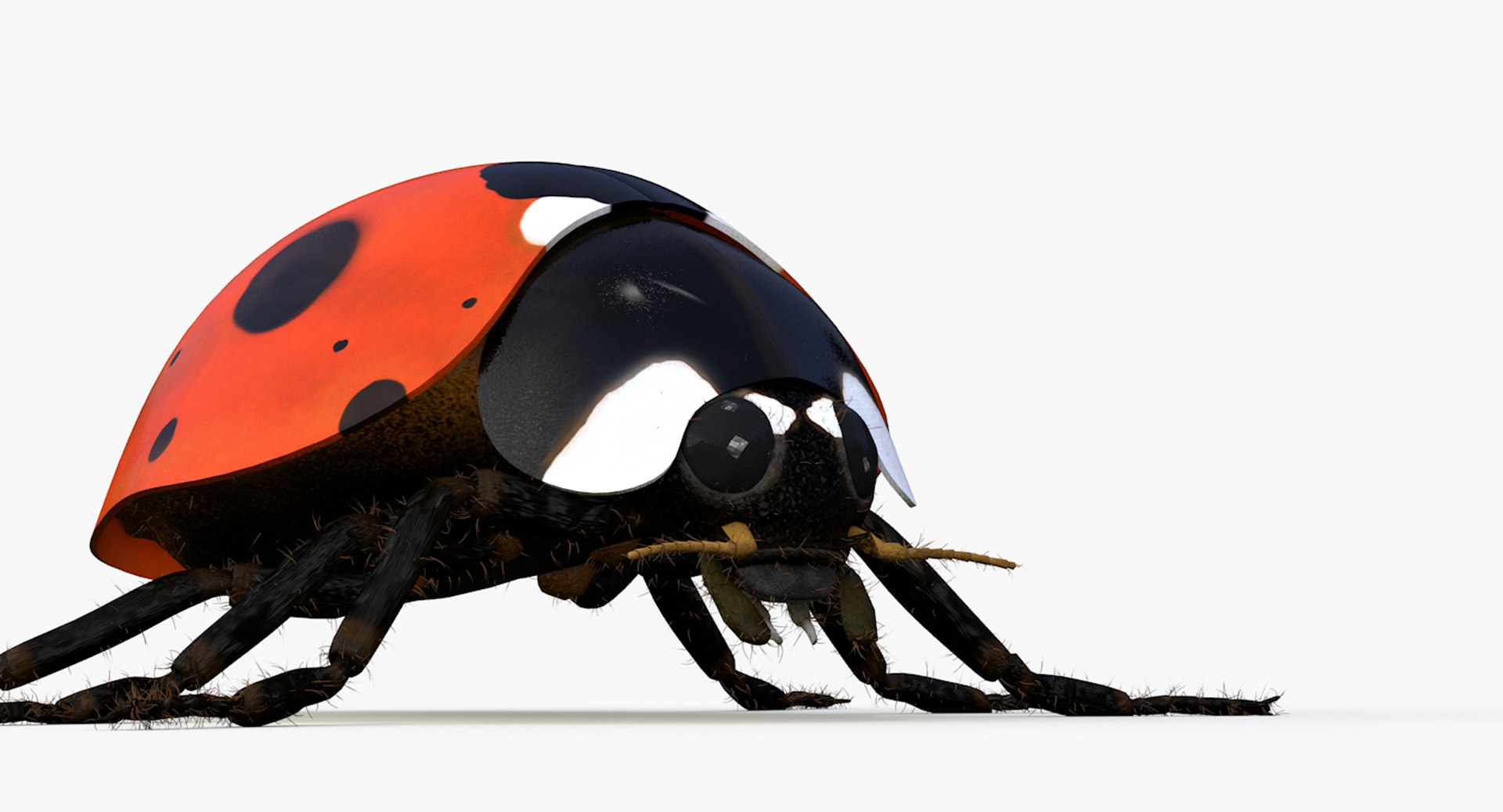 realistic ladybug 3d 3ds https://p.turbosquid.com/ts-thumb/vt/Job24K/JJ6j6ICS/ladybug_0003/png/1479906038/1920x1080/fit_q87/a835dd730ebc03a0f85f47412a9a4610cde665a3/ladybug_0003.jpg
